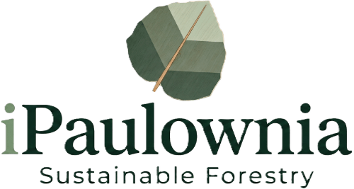 iPaulownia, sustainable forestry