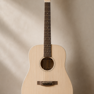 Acoustic guitar body kit
