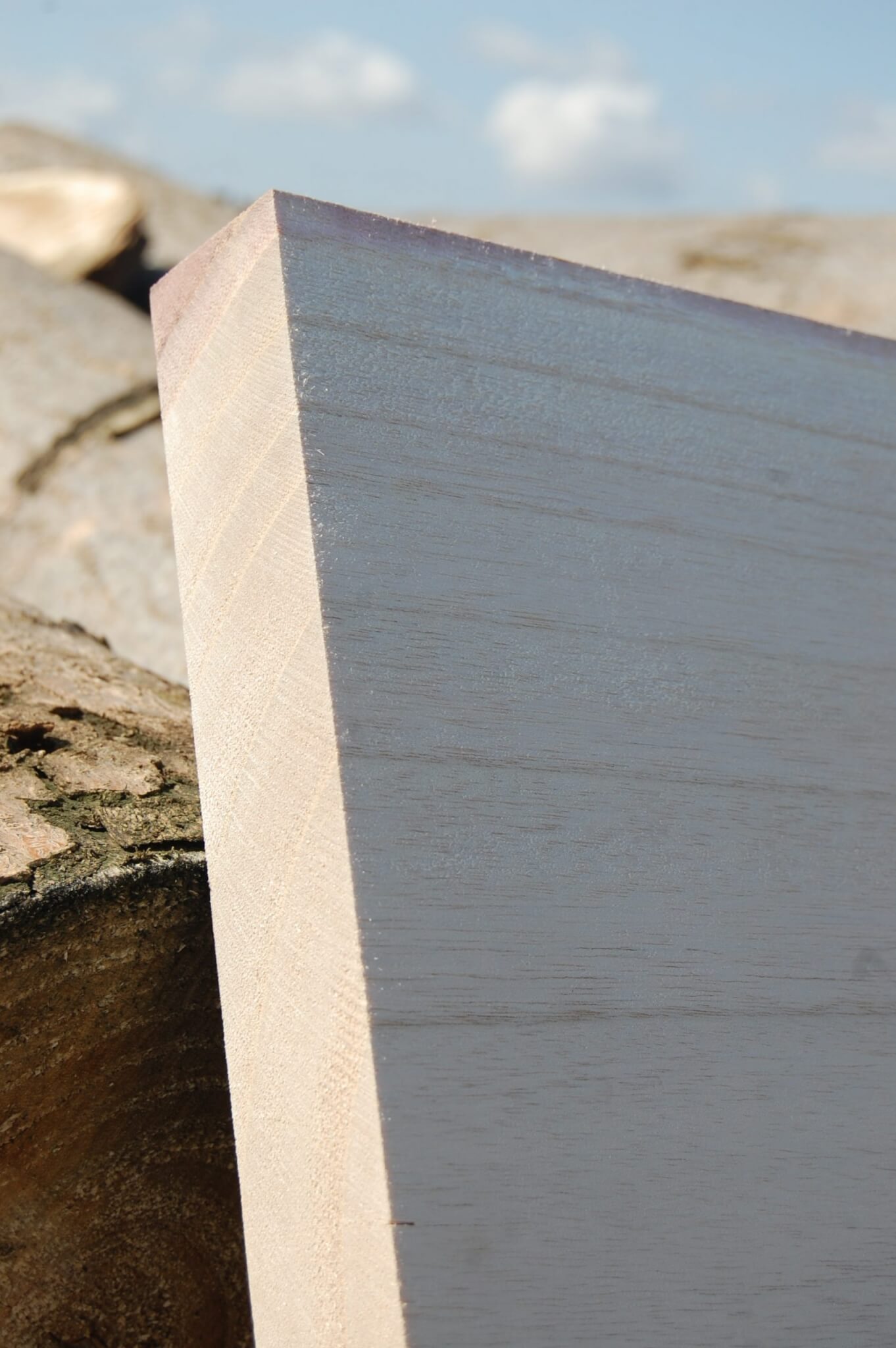 Blanks de surf Alaia