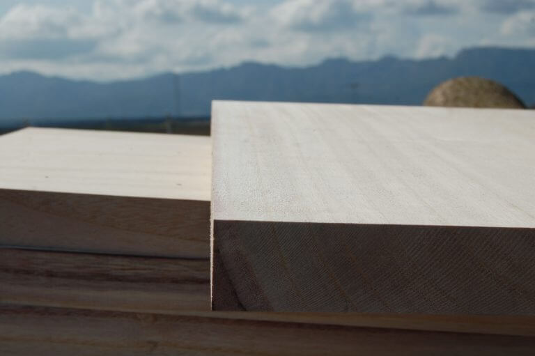 Blanks de surf Alaia