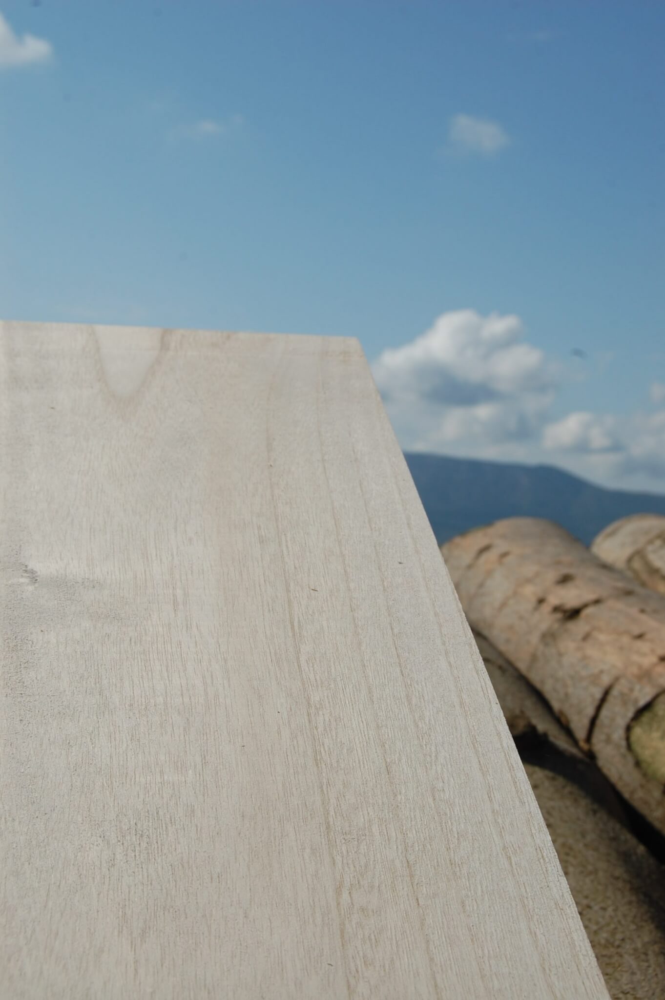 Blanks de surf Alaia