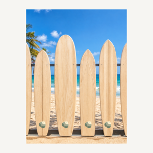 Alaia Surf Blanks