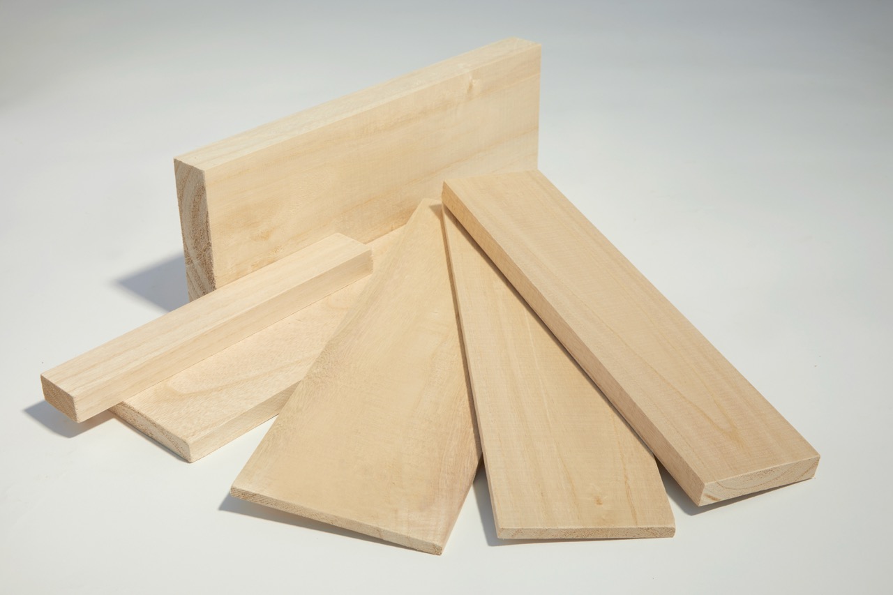 Proben aus Paulownia-Holz